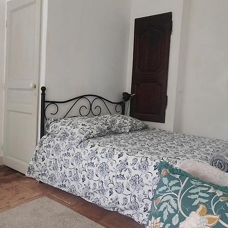 Studio Avec Jardin A 10 Mn A Pied Du Centre Ville Toulouse Eksteriør billede