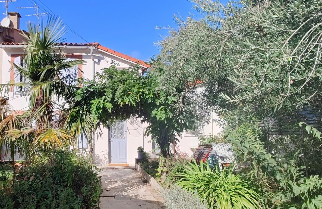Studio Avec Jardin A 10 Mn A Pied Du Centre Ville Toulouse Eksteriør billede